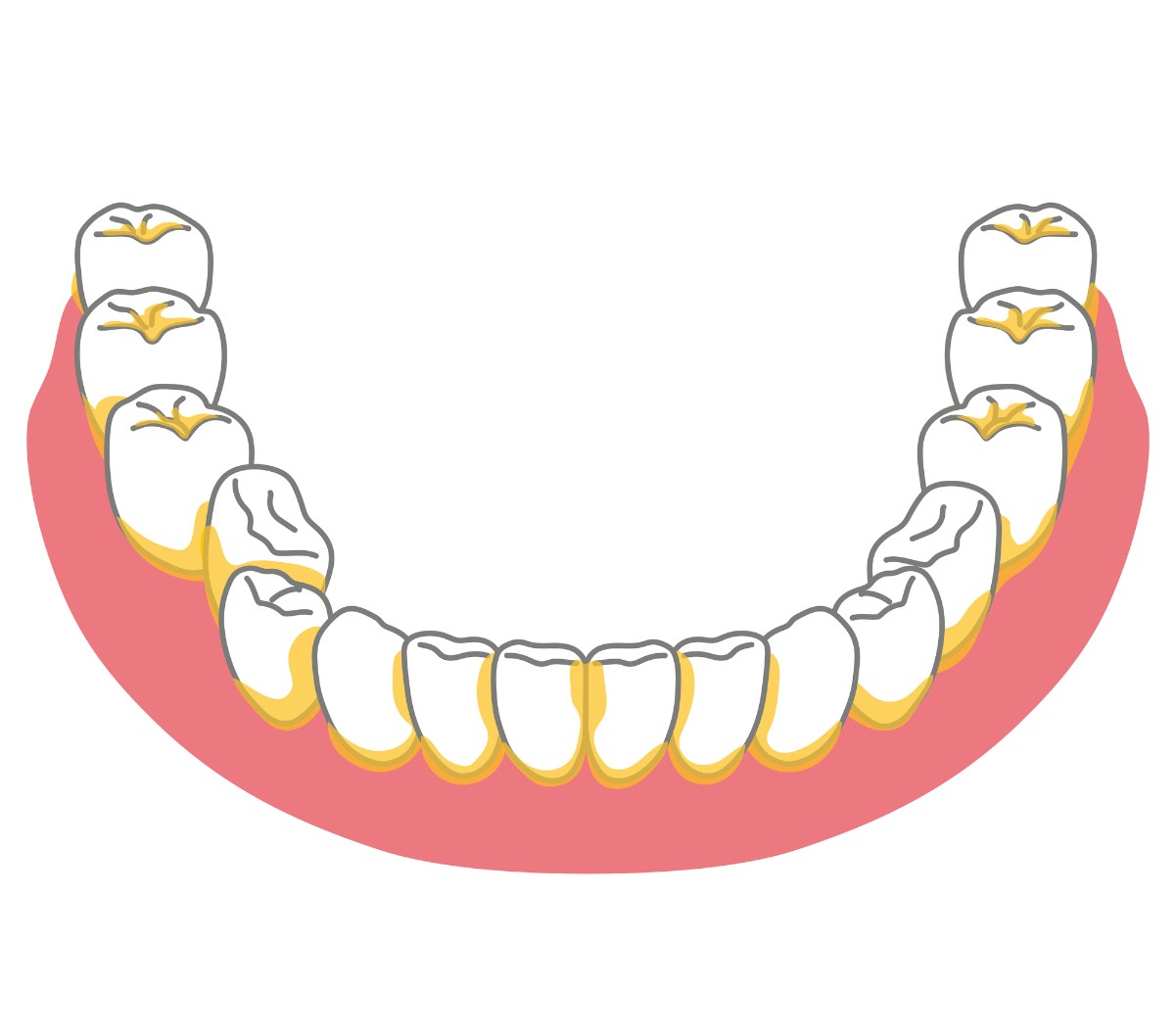 むし歯や歯周病の予防につながる