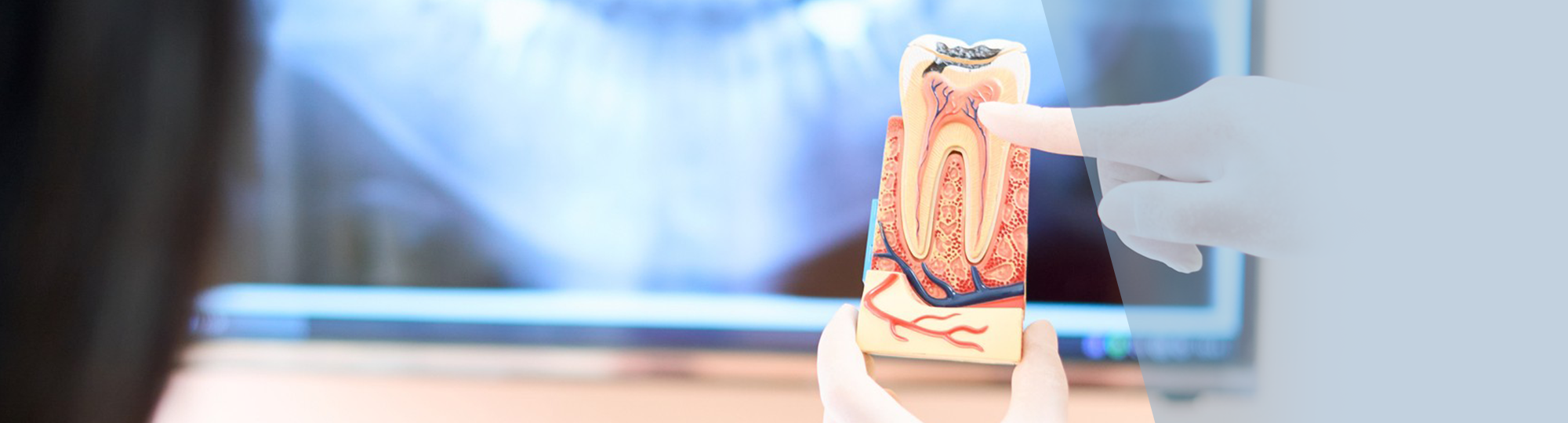 原因から向き合う、再発させないための予防・治療