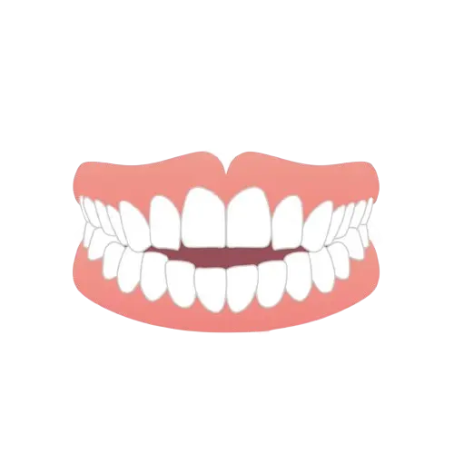 開咬（かいこう）